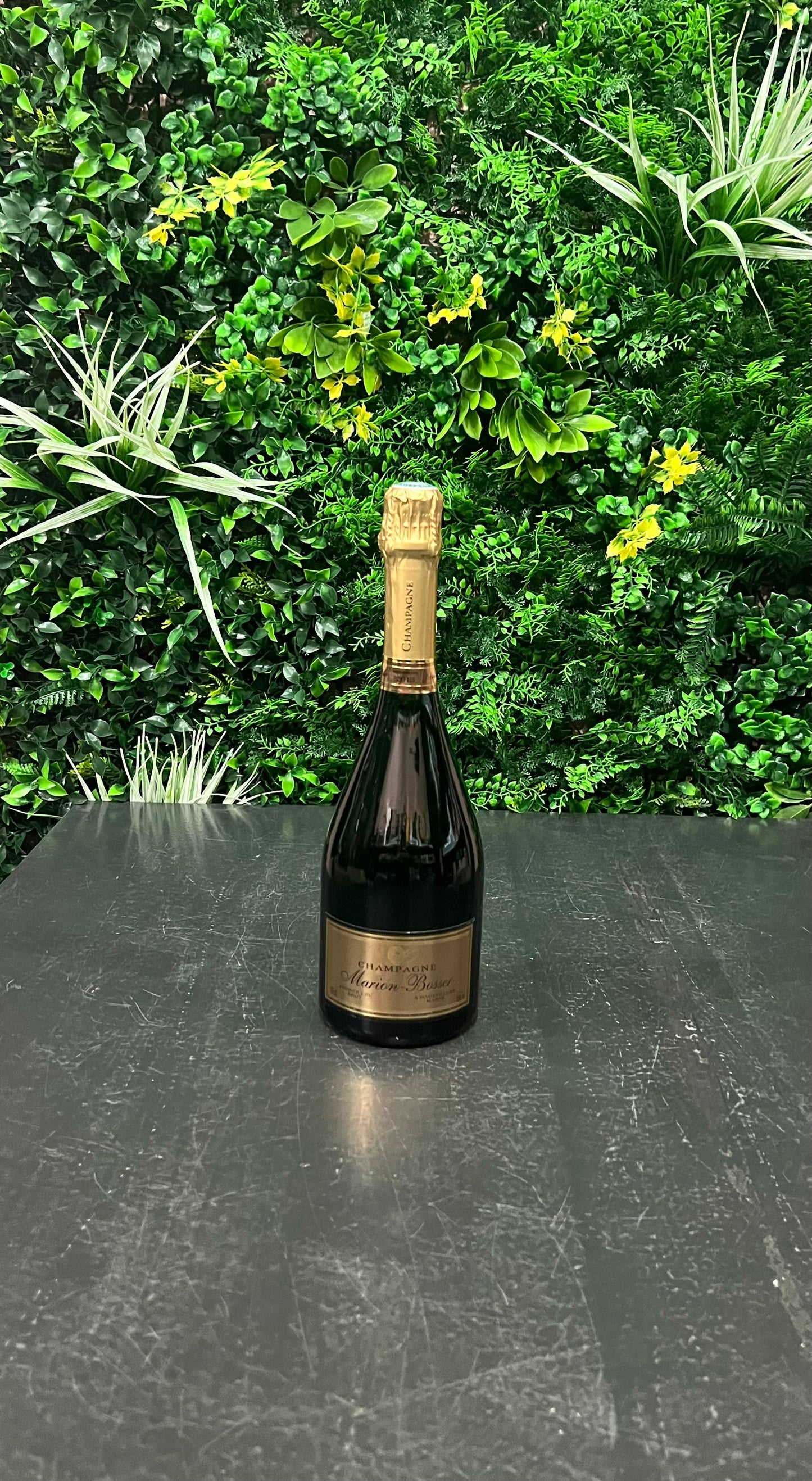 Marion-Bosser - Millésime 2013 Brut Premier Cru