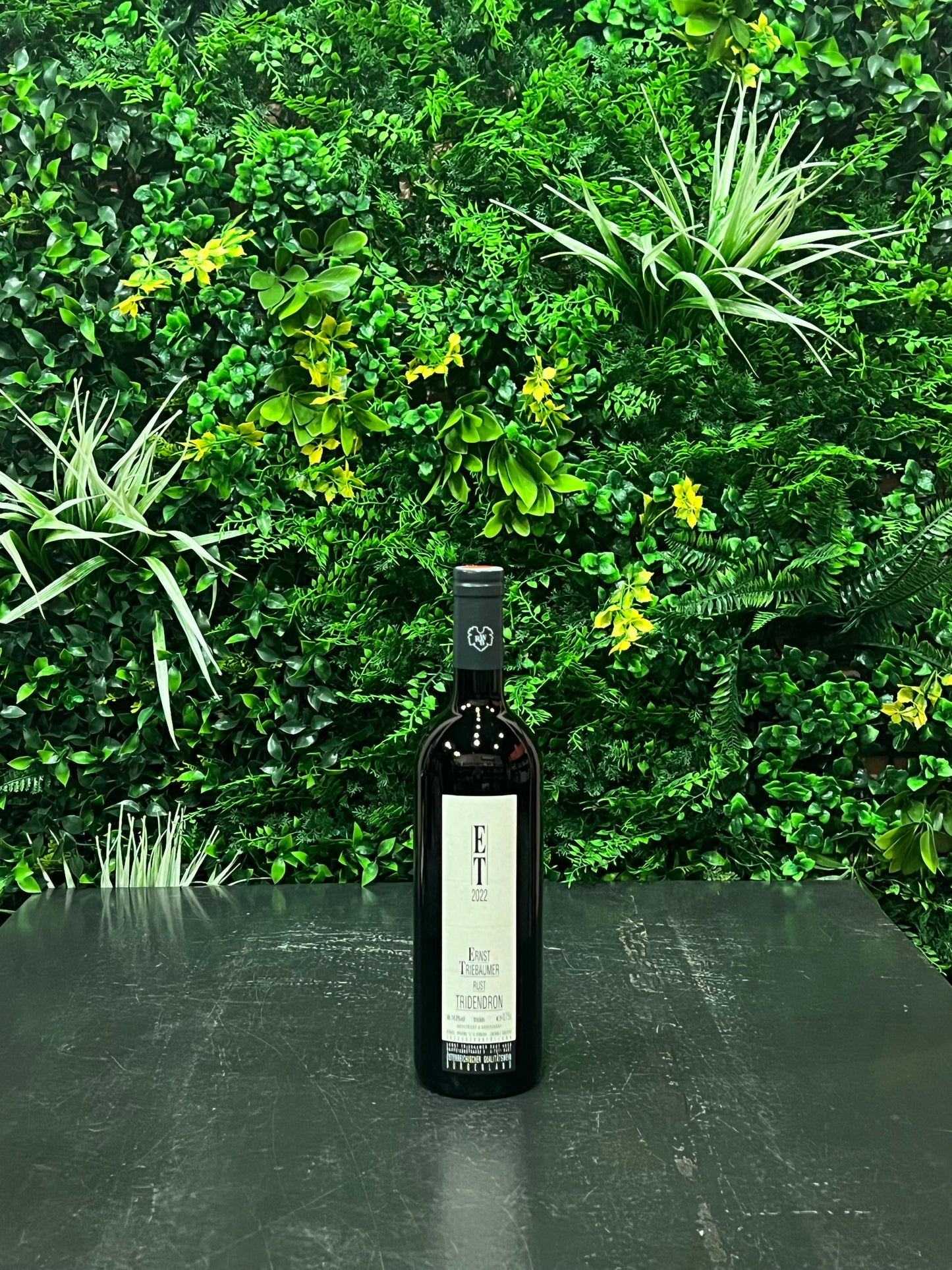 Weingut Ernst Triebaumer – Tridendron 2022