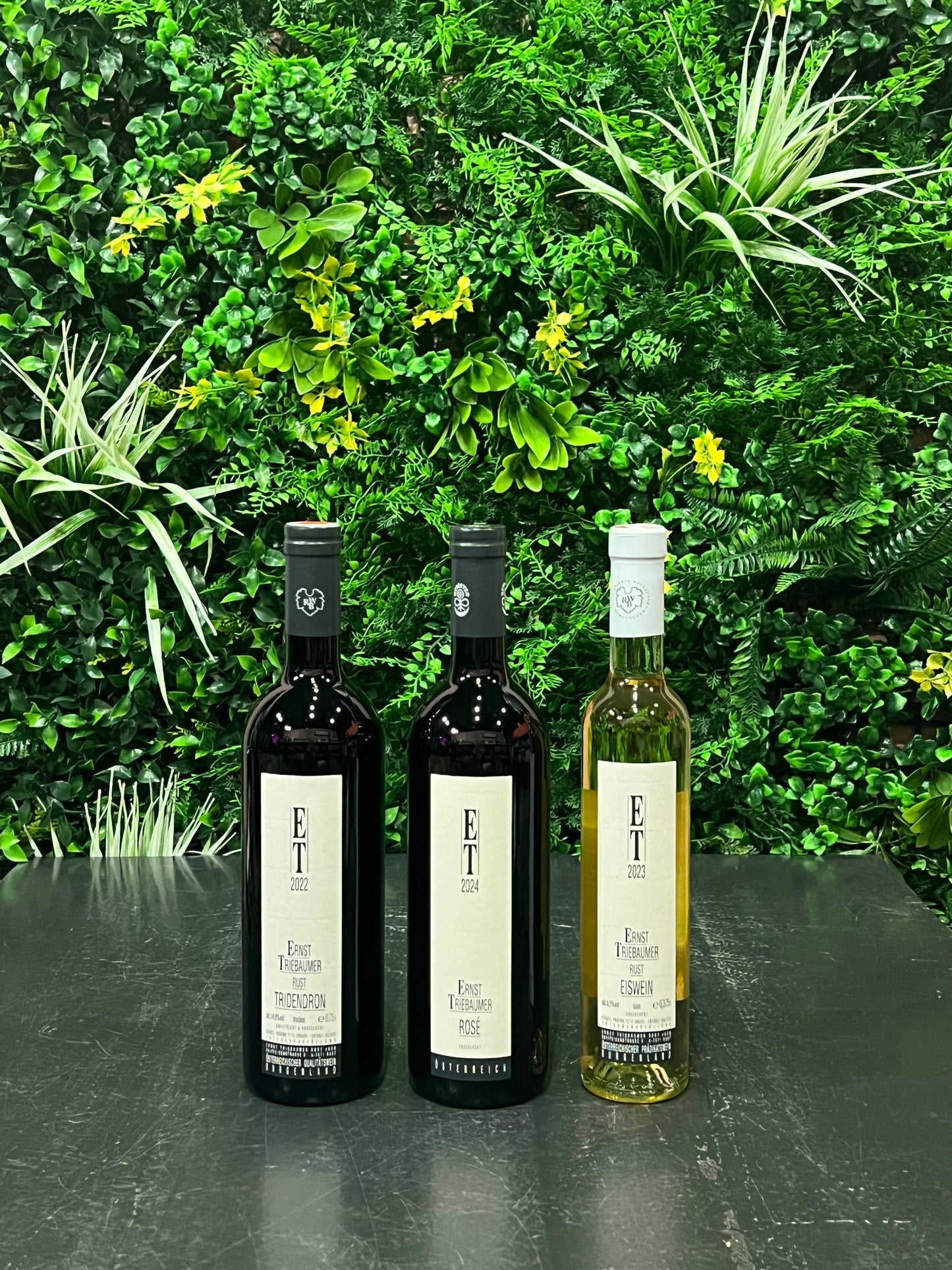 Weingut Ernst Triebaumer – Tridendron 2022
