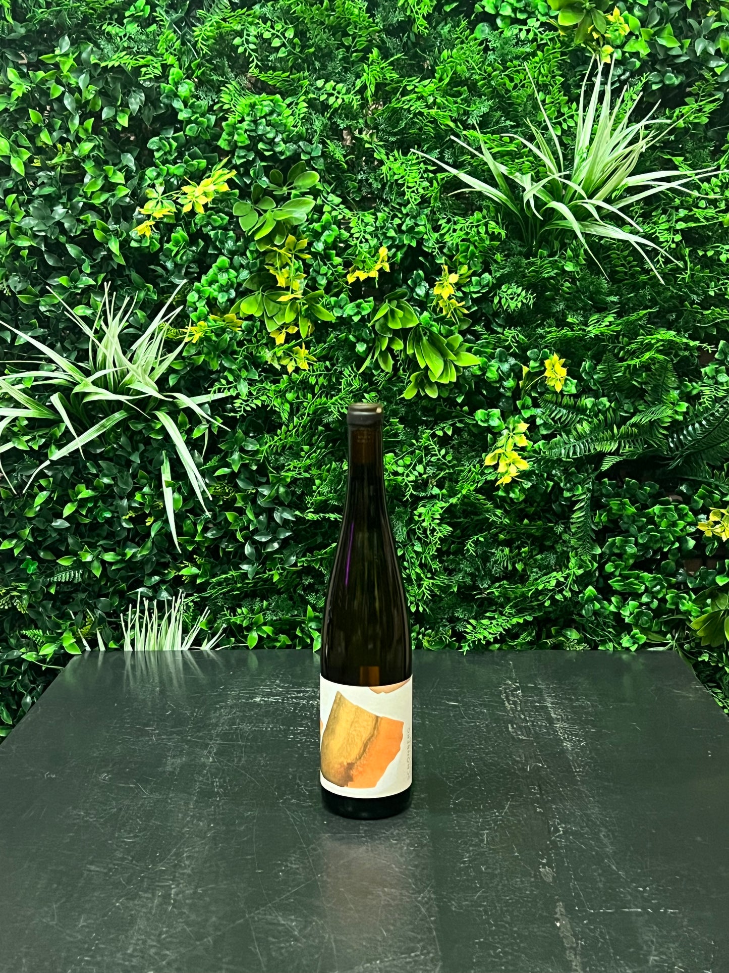 Nibiru – Grüner Veltliner Schönberg 2023