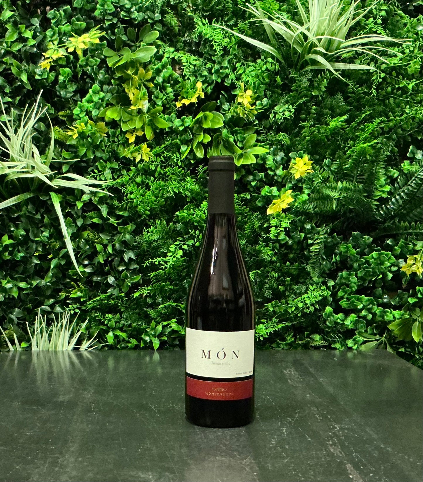 Montesanco Món Tempranillo 2020