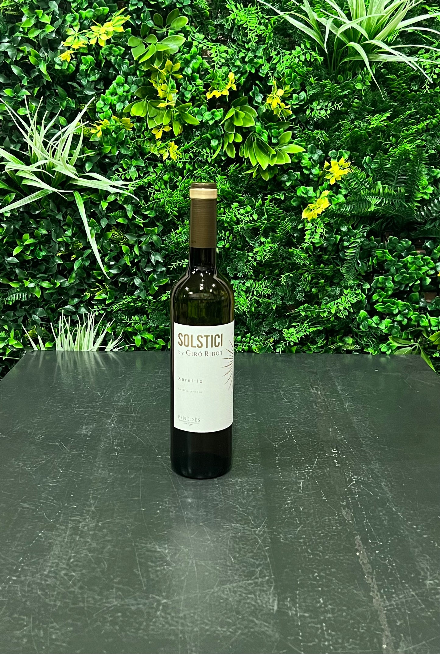 Giró Ribot - Solstici