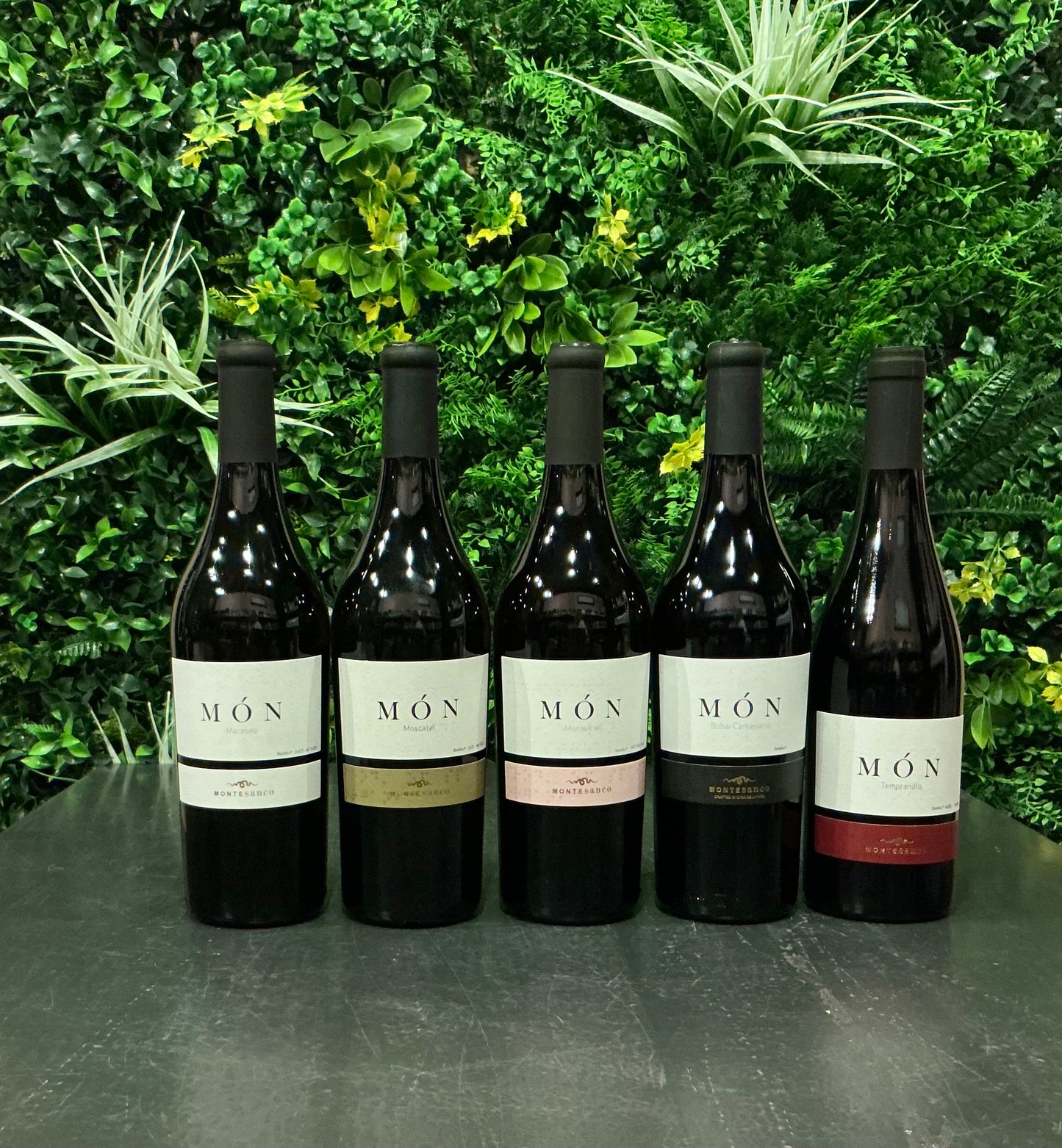 Montesanco - Món Blanco Moscatel 2023