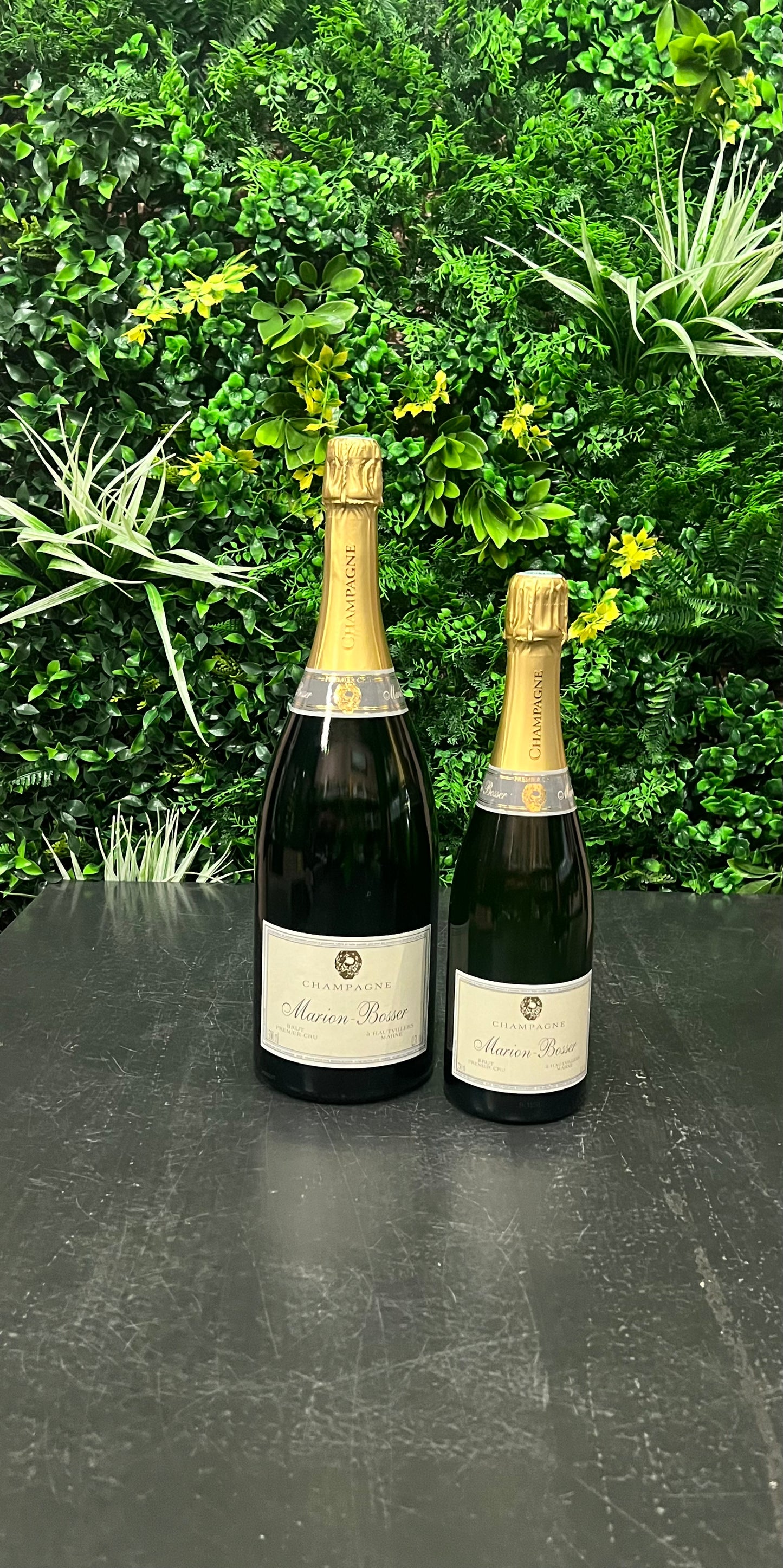 Marion-Bosser - Tradition Premier Cru Brut