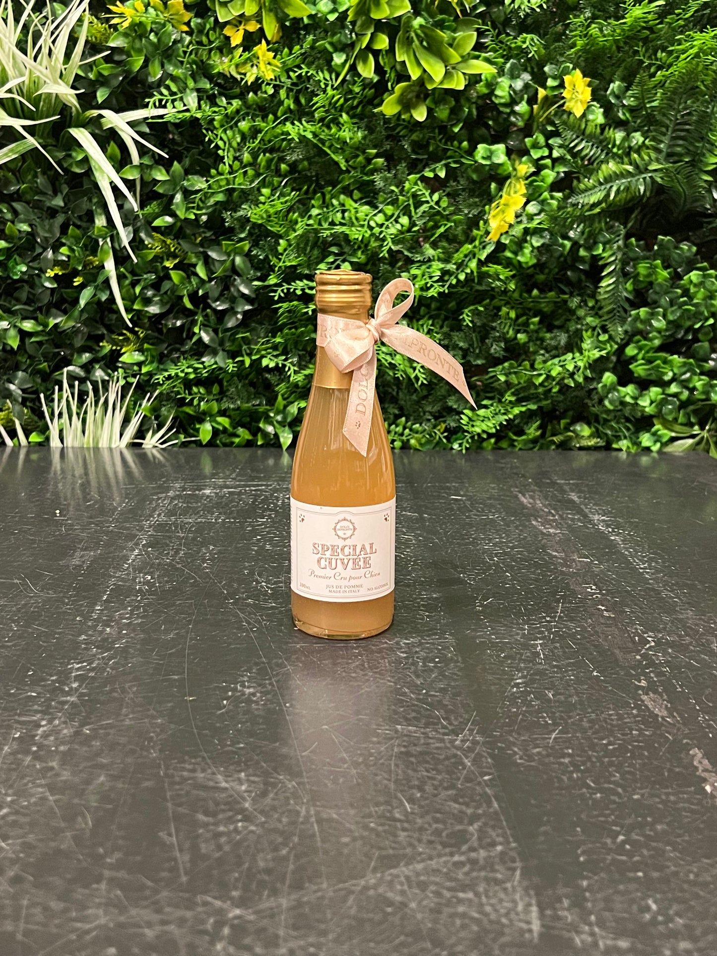 Speciale Cuvée - Dog Wine
