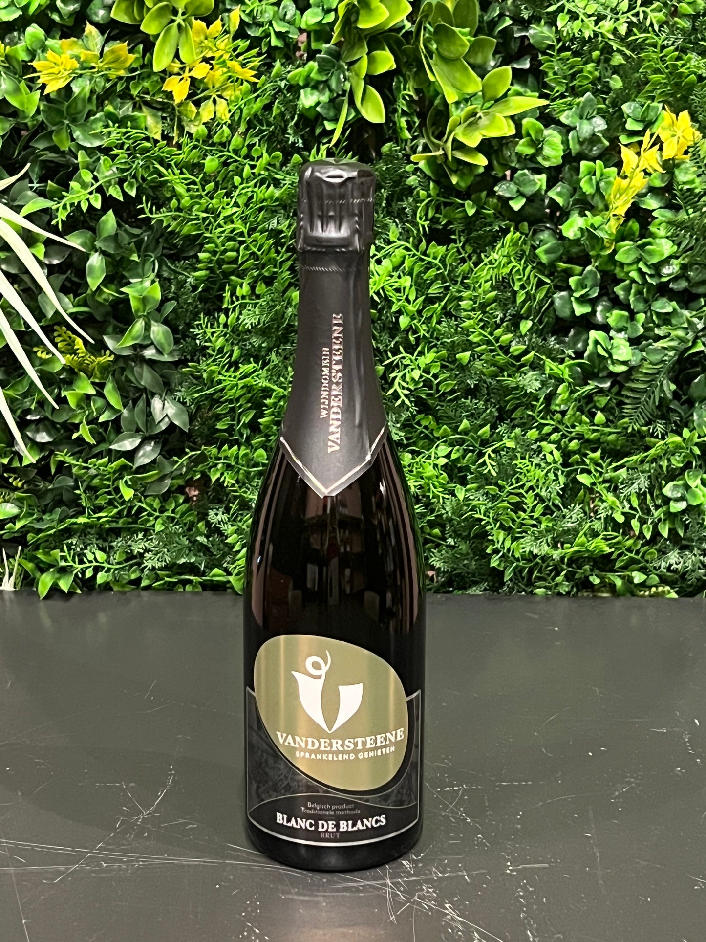 Vandersteene - Blanc de Blancs