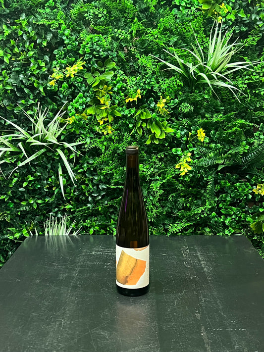 Nibiru – Grüner Veltliner Schönberg 2023