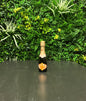Chandon - Garden Spritz (+ gratis gedroogde sinaasappelschijfjes)