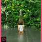 Château d’Esclans - Rock Angel Rosé
